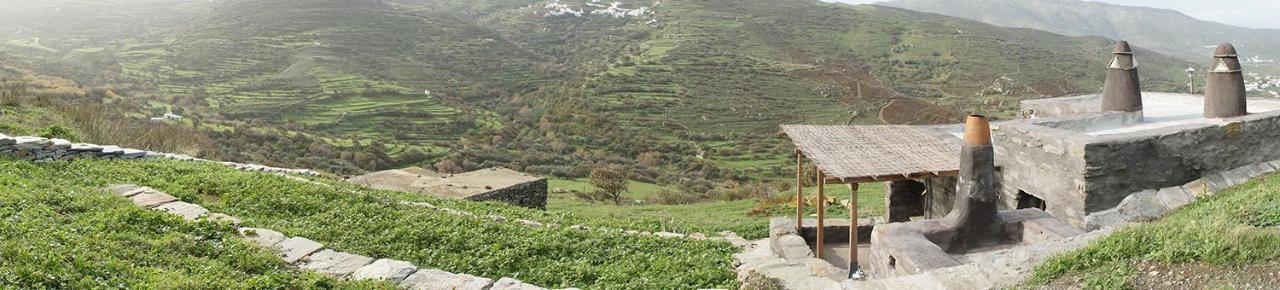 Alonaki Tinos Rental Cottage House Skaládhos Buitenkant foto